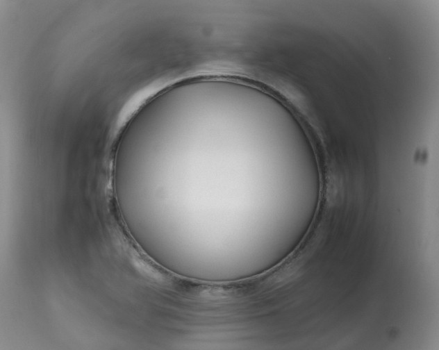 X0000113091366200909111017