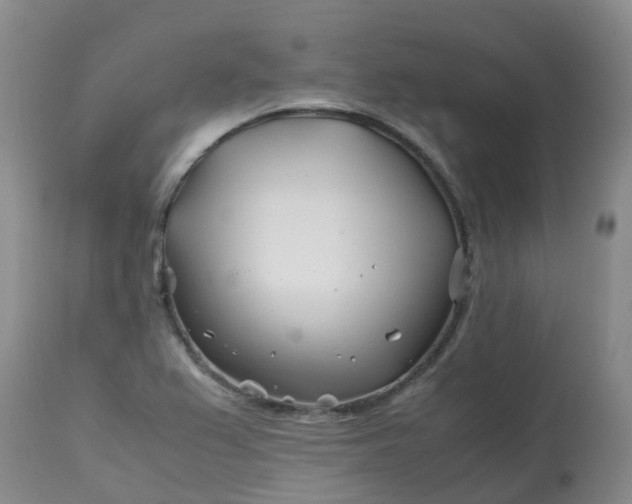 X0000113091367200909111017