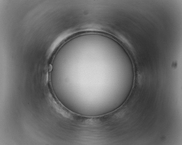 X0000113091368200909111017