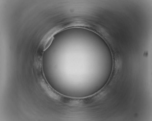 X0000113091369200909111017