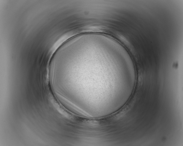 X0000113091370200909111017