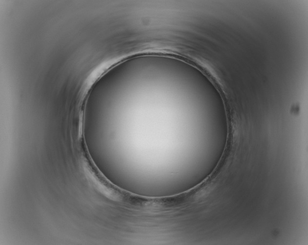 X0000113091371200909111017