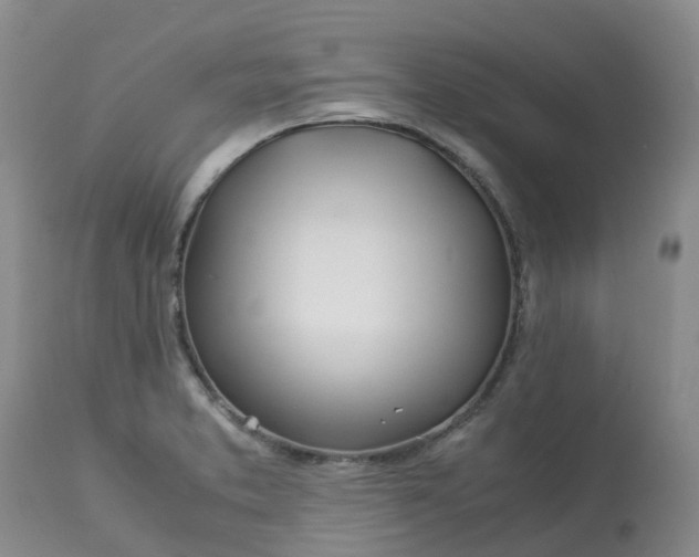 X0000113091373200909111017