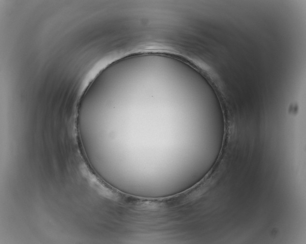 X0000113091374200909111017
