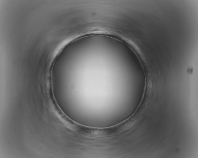 X0000113091375200909111017
