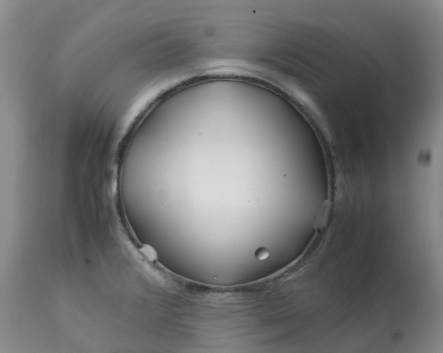 X0000113091376200909111017