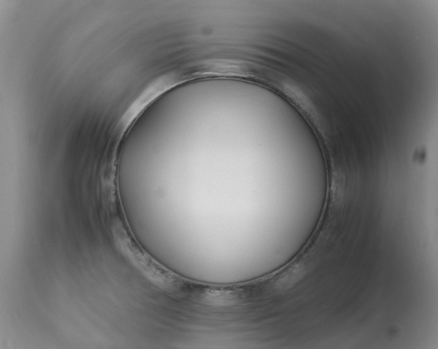 X0000113091378200909111017