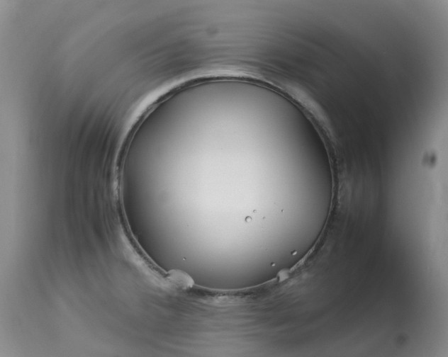 X0000113091380200909111017