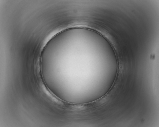 X0000113091382200909111017