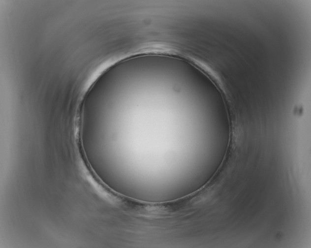 X0000113091383200909111017