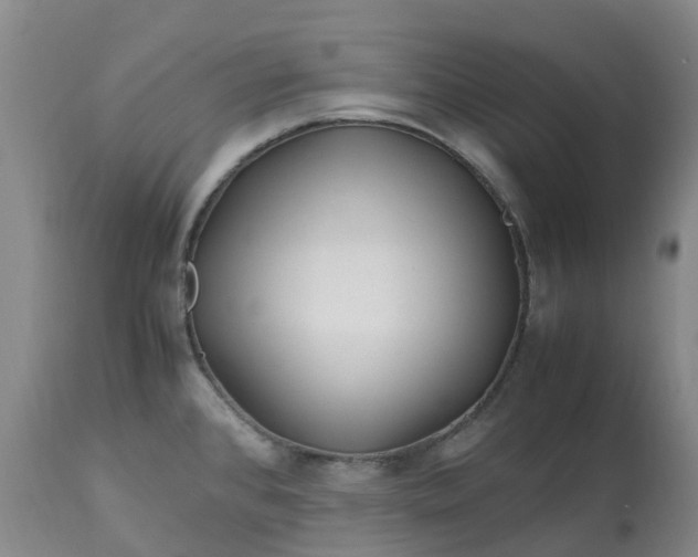 X0000113091384200909111017