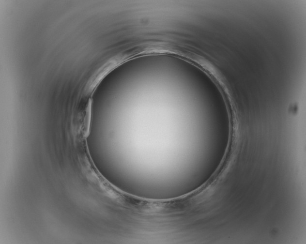 X0000113091385200909111017