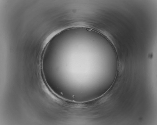 X0000113091387200909111017