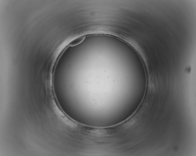 X0000113091388200909111017