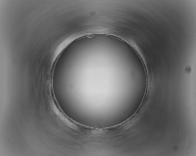 X0000113091389200909111017