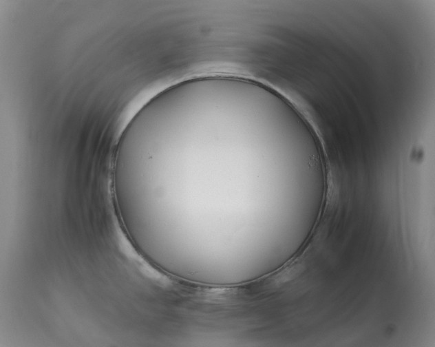 X0000113091390200909111017