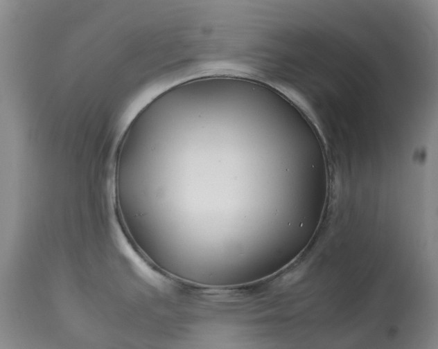 X0000113091391200909111017