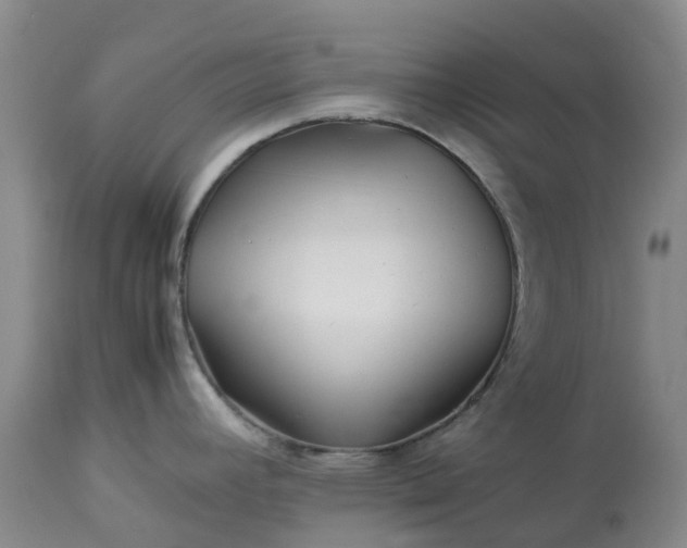 X0000113091392200909111017