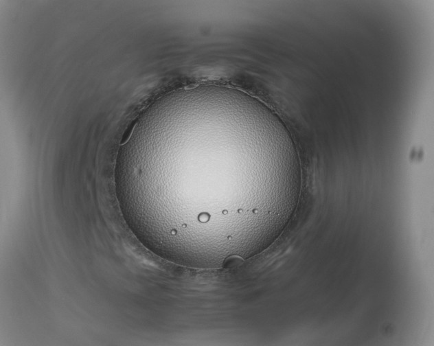 X0000113091393200909111016