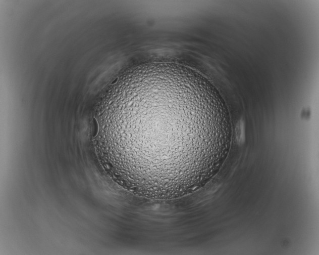 X0000113091395200909111016