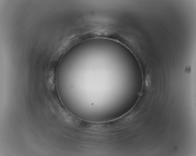 X0000113091396200909111016