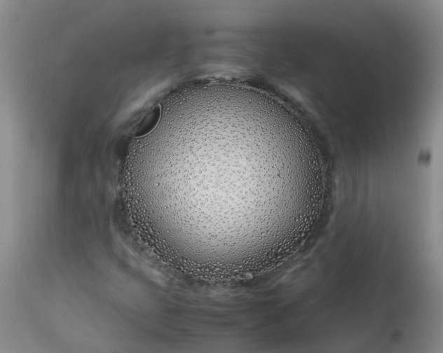 X0000113091399200909111016
