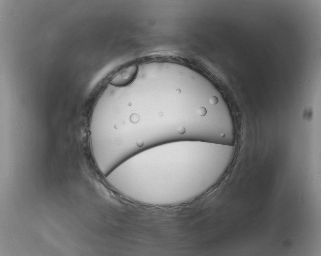 X0000113091400200909111016
