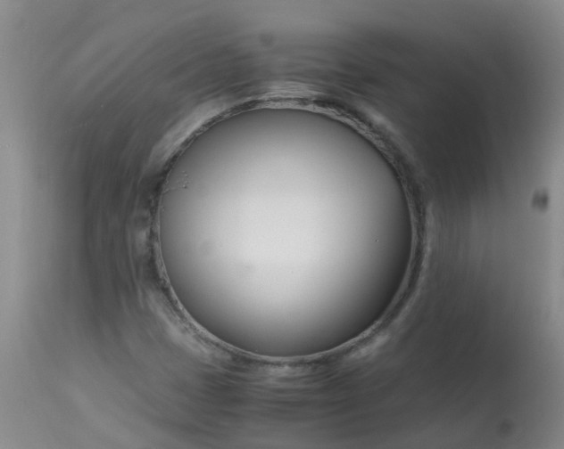 X0000113091401200909111016