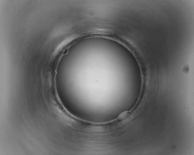 X0000113091402200909111016