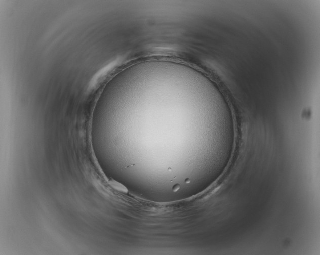 X0000113091403200909111016