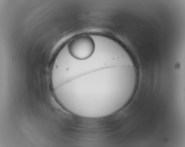 X0000113091404200909111016