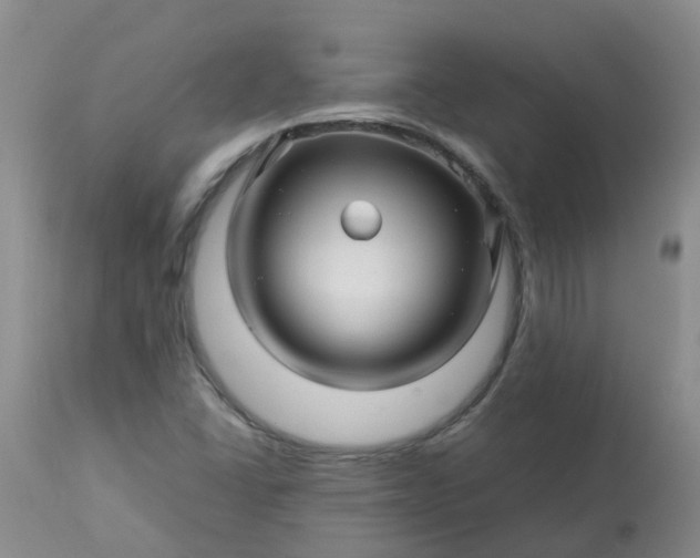 X0000113091406200909111016