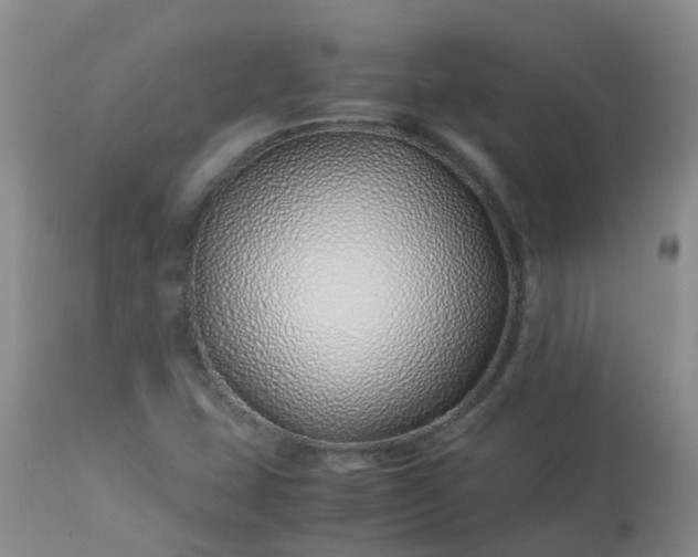 X0000113091407200909111016