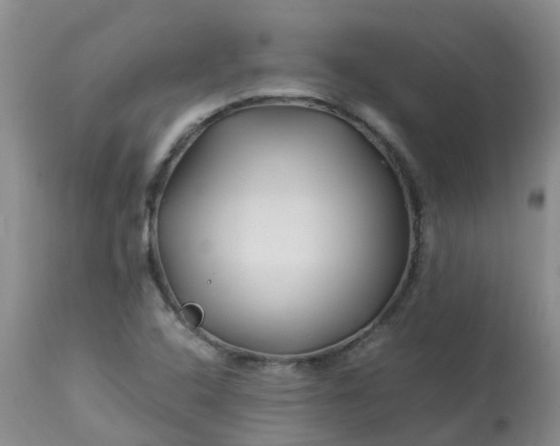 X0000113091408200909111016
