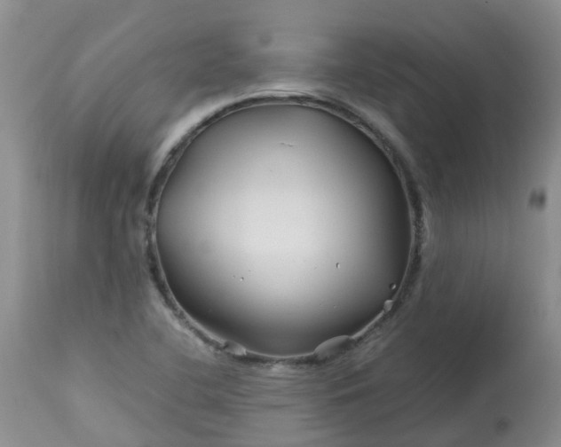 X0000113091412200909111016