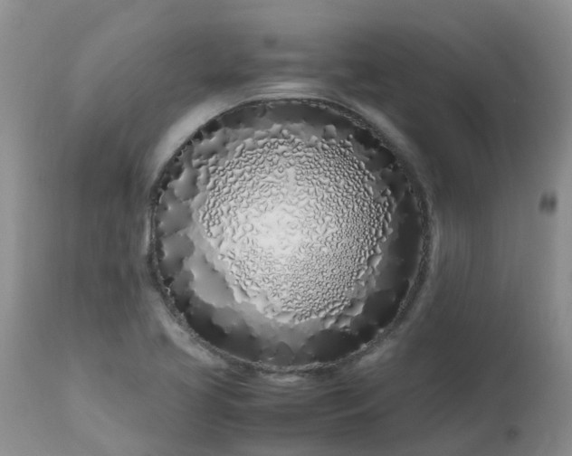 X0000113091413200909111016