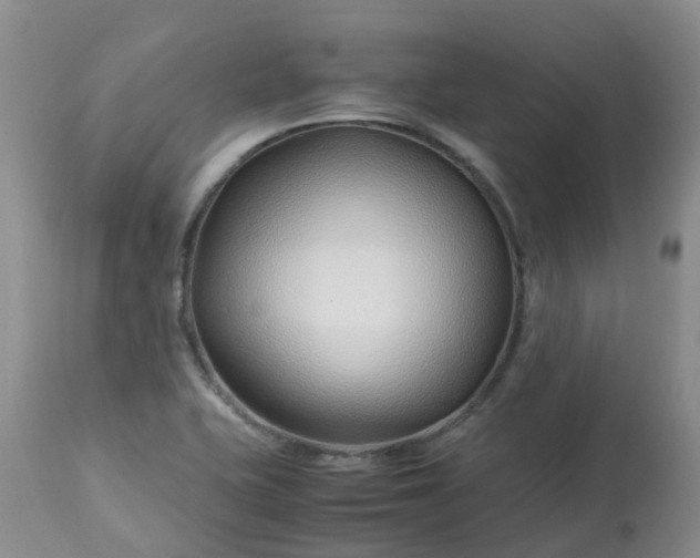 X0000113091415200909111016