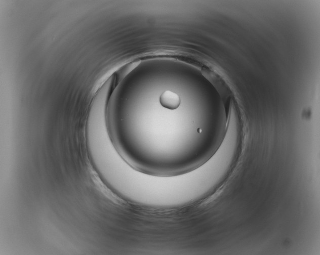 X0000113091417200909111016
