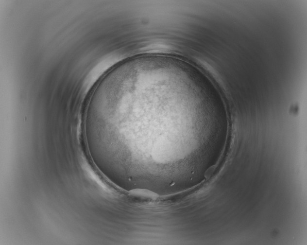 X0000113091418200909111016