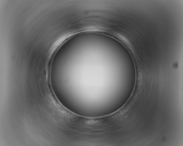 X0000113091419200909111016