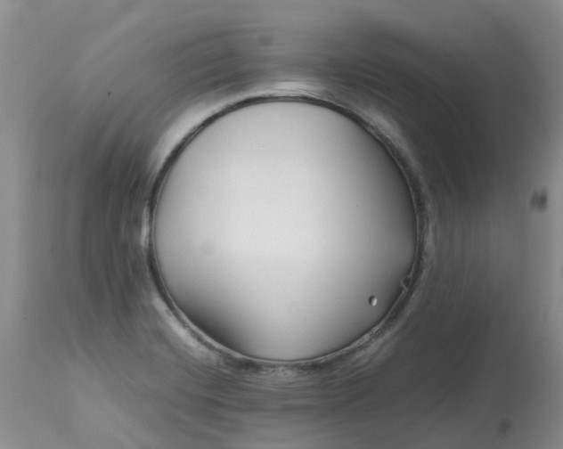 X0000113091420200909111016