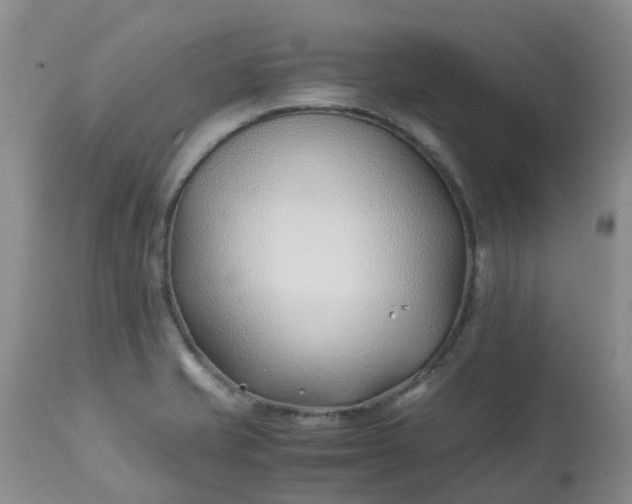 X0000113091421200909111016