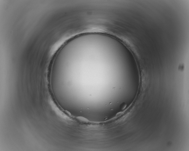 X0000113091422200909111016