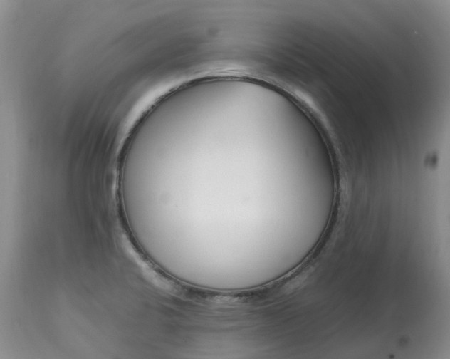 X0000113091424200909111016