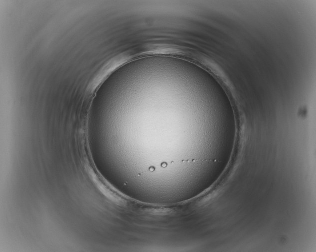 X0000113091425200909111016