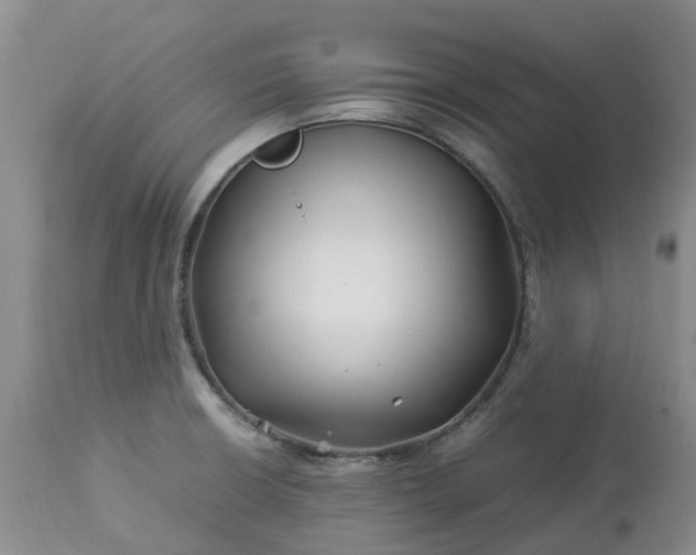 X0000113091426200909111016