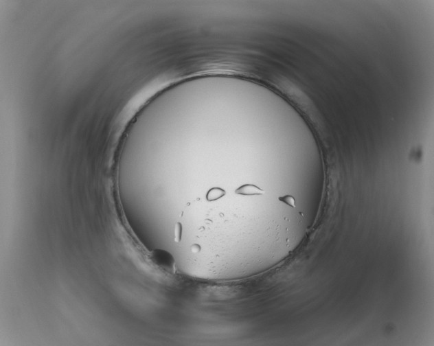 X0000113091427200909111016