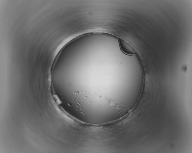X0000113091428200909111016