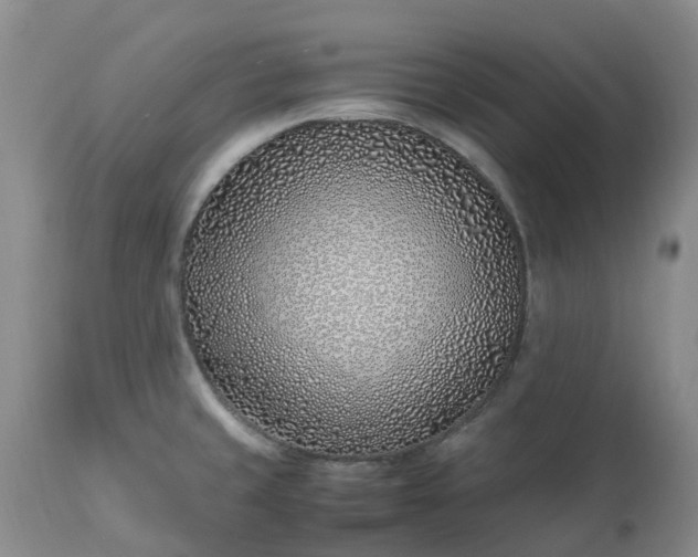 X0000113091429200909111016