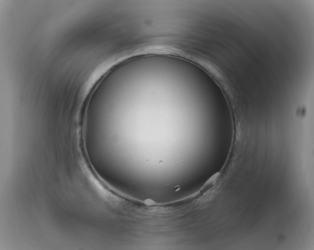 X0000113091430200909111016